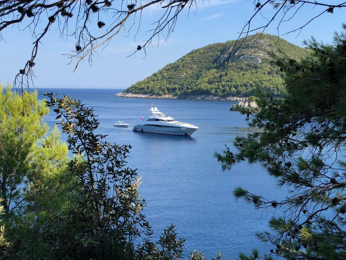 Accomodation Stermasi Maranovići Εξωτερικό φωτογραφία
