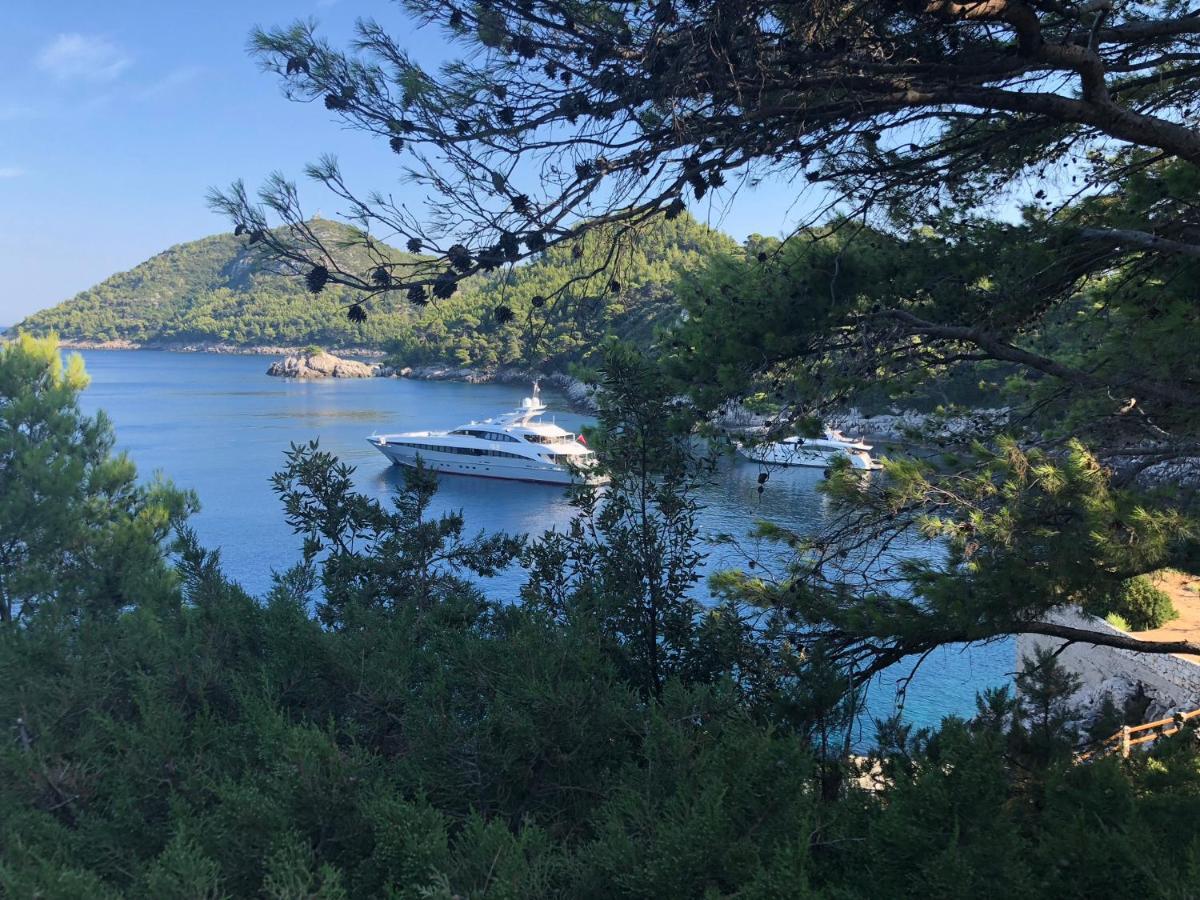 Accomodation Stermasi Maranovići Εξωτερικό φωτογραφία